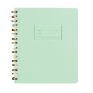 Standard Notebook - Mint