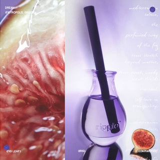 ripple⁺ home - Fig Leaf Scented Reed Diffuser | 150ml | Luxury Scents