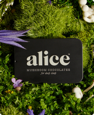 Nightcap — mushroom chocolates for deep sleep