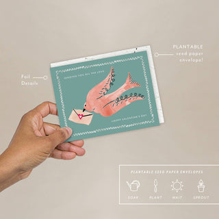 Dove - Valentine's Card