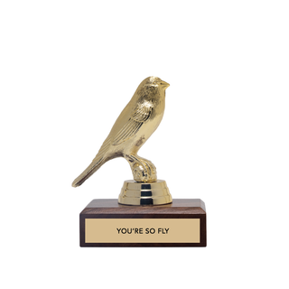 Encouragement Trophy - "YOU'RE SO FLY"