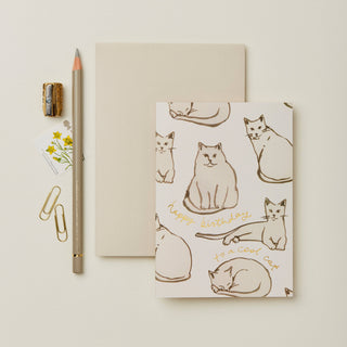 Cats 'Happy Birthday to a Cool Cat' Card