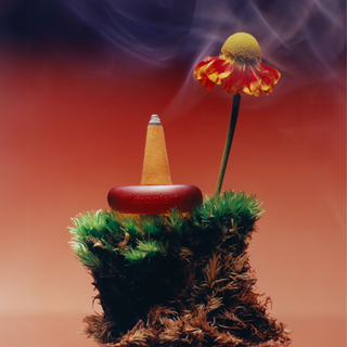 ripple⁺ home - Ripple⁺ Focus - Wildflower Incense Cones