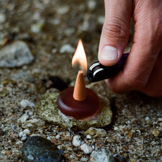 ripple⁺ home - Ripple⁺ Focus - Wildflower Incense Cones
