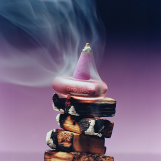 ripple⁺ home - Ripple⁺ Dream Fig Leaf Incense Cones