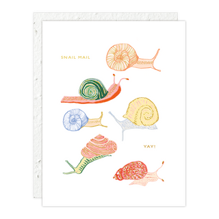 Snail Mail Card