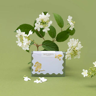 GOLD VIBURNUM | mini boxed cards of 8