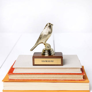 Encouragement Trophy - "YOU'RE SO FLY"