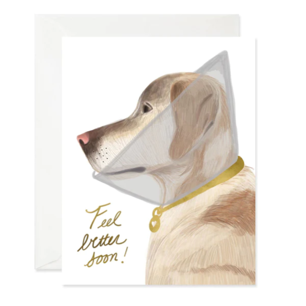 Feel better Doggie Card